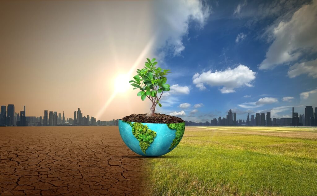 Restauración de suelos, agricultura, regenerativa, agroforestería